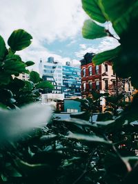 Buildings in city against sky