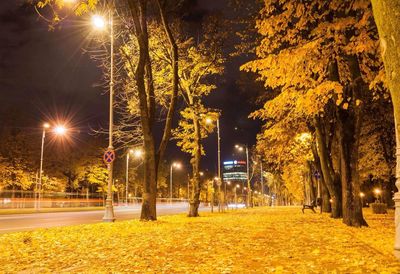 Illuminated street lights in park at night
