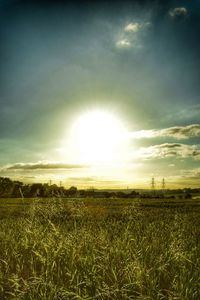 Scenic view of field against sky at sunset