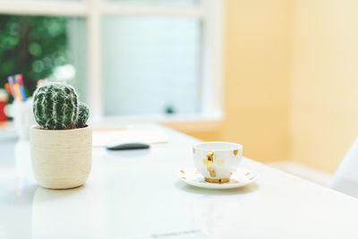 Close-up of potted plant on table at home