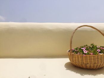 Close-up of potted plants in basket on table