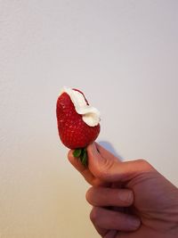 Midsection of person holding apple against white background