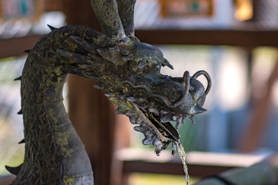 Close-up of statue against trees