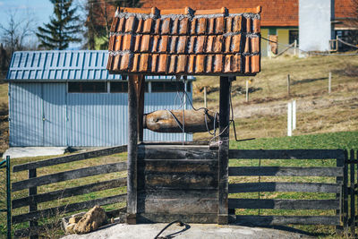 View of an animal on roof of building