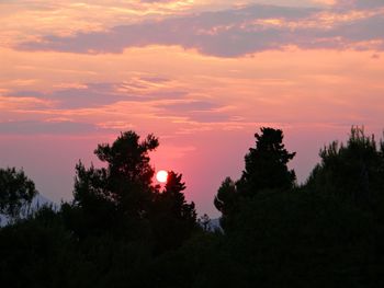 Silhouette of trees at sunset