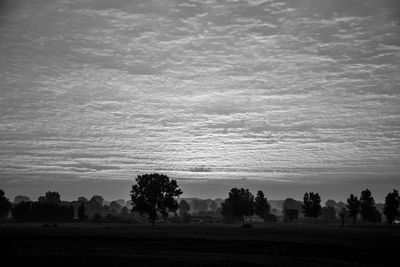 Silhouette trees on field against sky