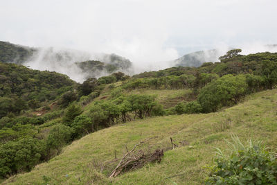 Scenic view of landscape