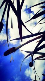 Low angle view of tree against sky