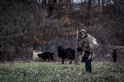 Side view of man standing with goats grazing in forest