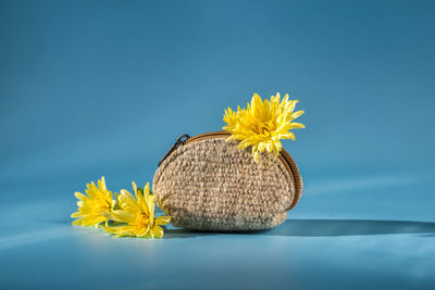 Close-up of yellow flower