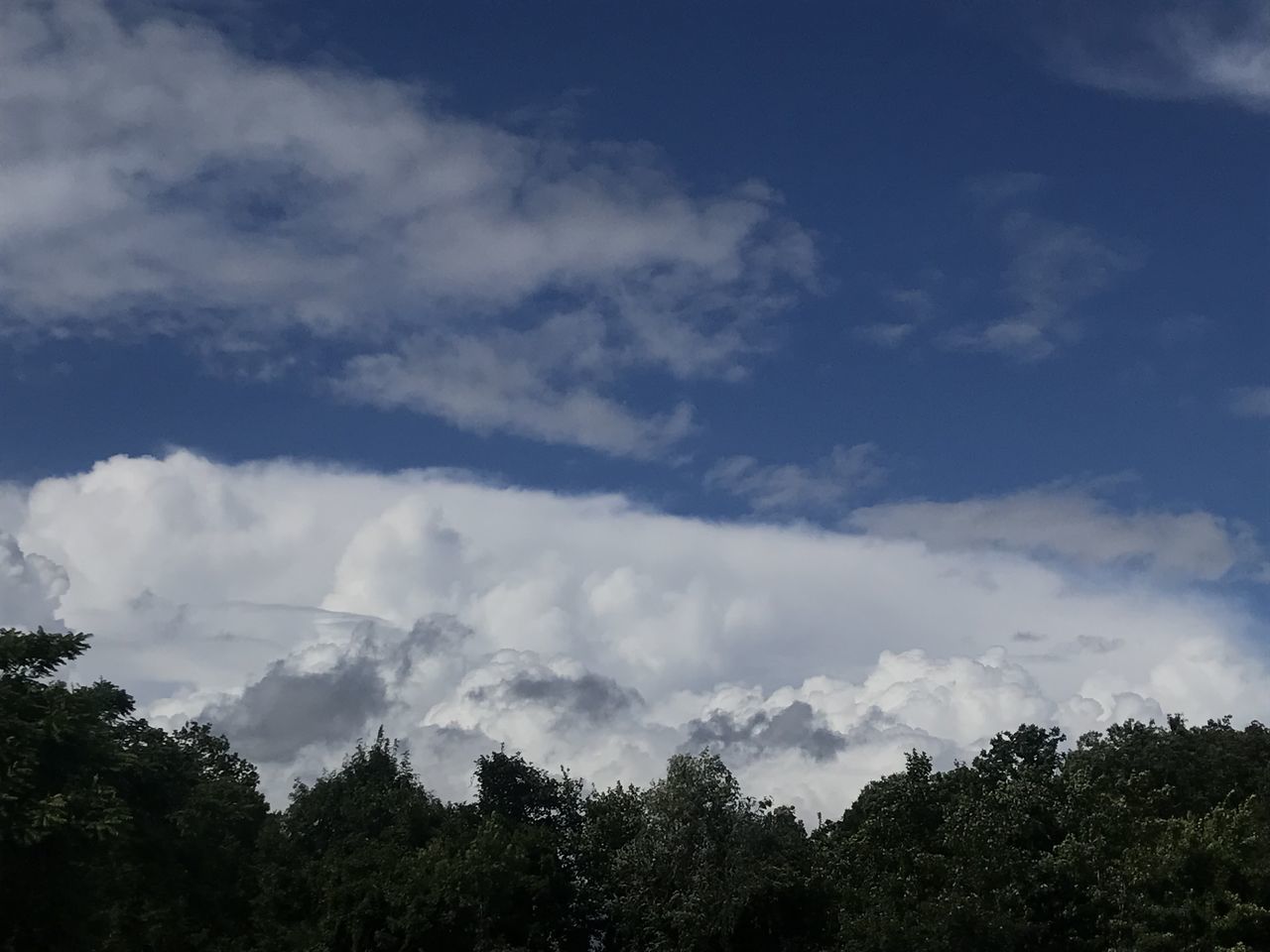 sky, tree, cloud, plant, nature, beauty in nature, environment, no people, scenics - nature, mountain, outdoors, forest, landscape, horizon, day, tranquility, land, blue, sunlight, non-urban scene, pinaceae