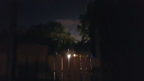 Illuminated trees against sky at night