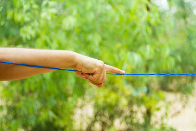 Cropped hand holding string against tree