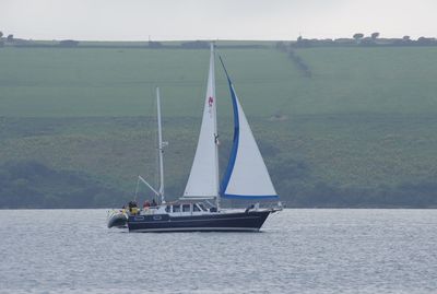 Sailboats in sea