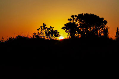 Silhouette trees against orange sky