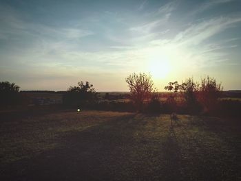 Silhouette trees on field against sky at sunset
