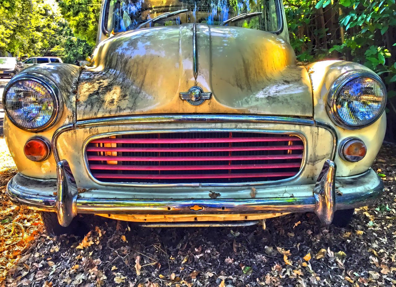 land vehicle, transportation, mode of transport, car, stationary, abandoned, old-fashioned, tree, metal, vintage car, retro styled, headlight, day, tire, outdoors, old, close-up, no people, travel, wheel