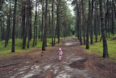 Girl walking on field amidst trees
