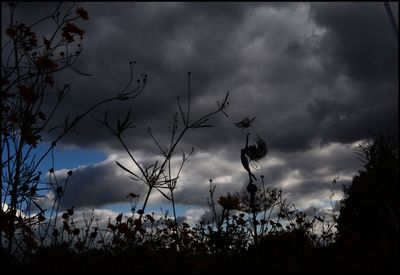Low angle view of trees against cloudy sky