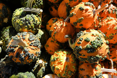 High angle view of pumpkins in market