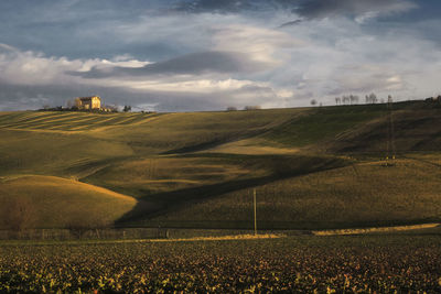 Scenic view of field against sky