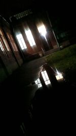 Reflection of trees in water