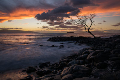 Scenic view of sea against orange sky