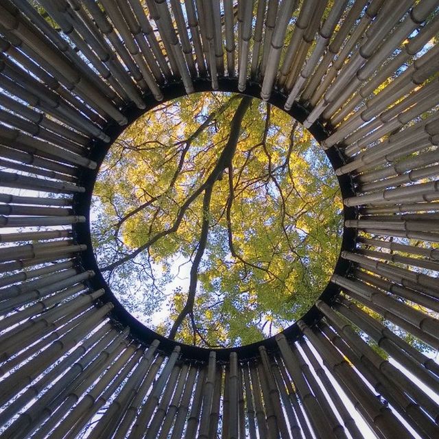 circle, indoors, geometric shape, pattern, tree, built structure, ceiling, low angle view, architecture, directly below, design, reflection, full frame, shape, no people, backgrounds, glass - material, day, skylight, arch