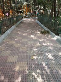 Footpath in park