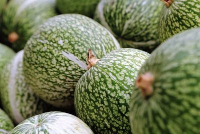Close-up of melons