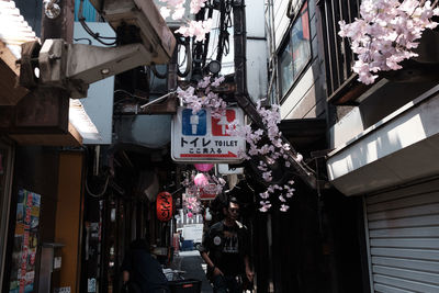 Flowers hanging on building in city