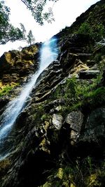 Low angle view of trees against sky
