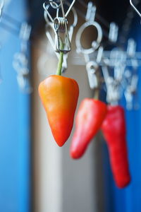 Close-up of fruits hanging on table