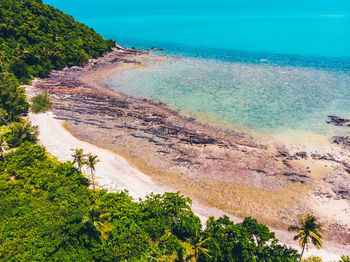 High angle view of sea and trees