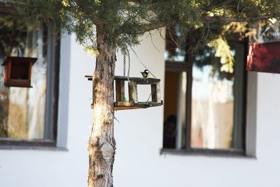 Clothes hanging by tree against building