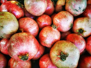 Luxury fresh turkish pomegranate