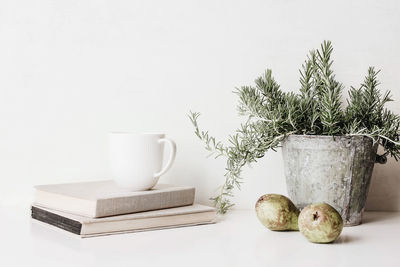 Potted plant on table against wall