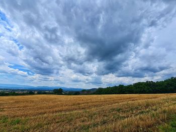 Scenic view of agricultural field against sky