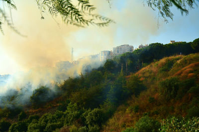Scenic view of landscape against sky