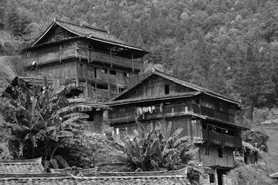 Old abandoned building by trees