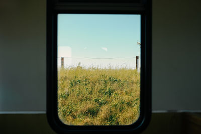 View from a train window on meadow with fence