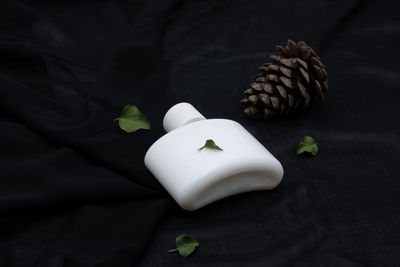 Close-up of pine cone on table