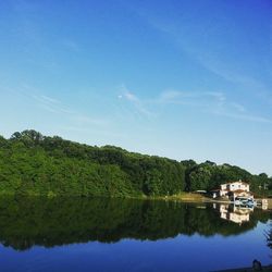 Reflection of trees in calm lake