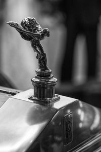 Close-up of a bird on table