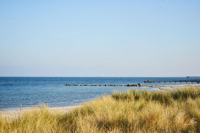 Scenic view of sea against clear sky