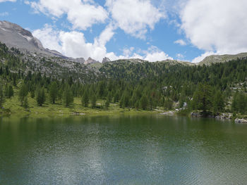 scenics - nature
