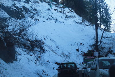 Snow covered trees and mountains during winter