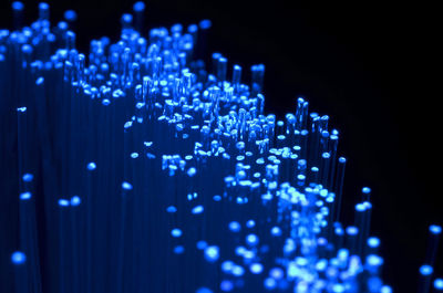 Close-up of illuminated fiber optic against black background