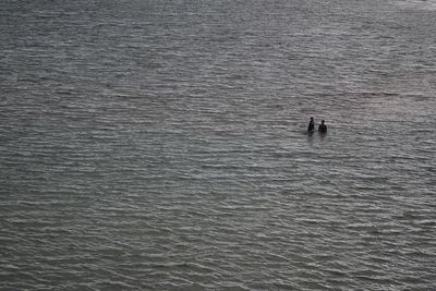 High angle view of person on sea shore