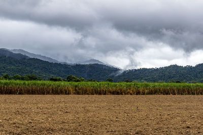 Scenic view of field against sky